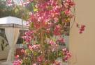 6d75b98bccf172ee0c4508bc9dbce337_thumb