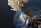 270128316631a3a68f7ffff9317f3ca2_thumb