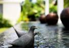 Villa 4264 Image 9