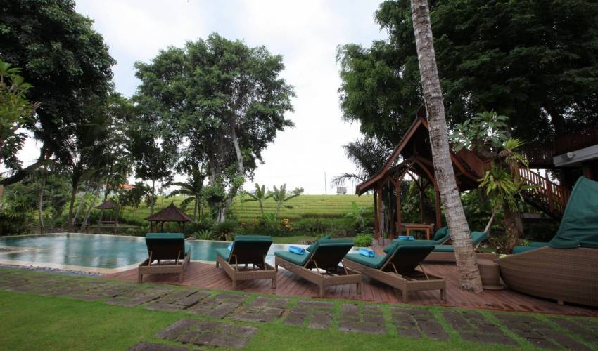 Villa 3911 in Bali Main Image