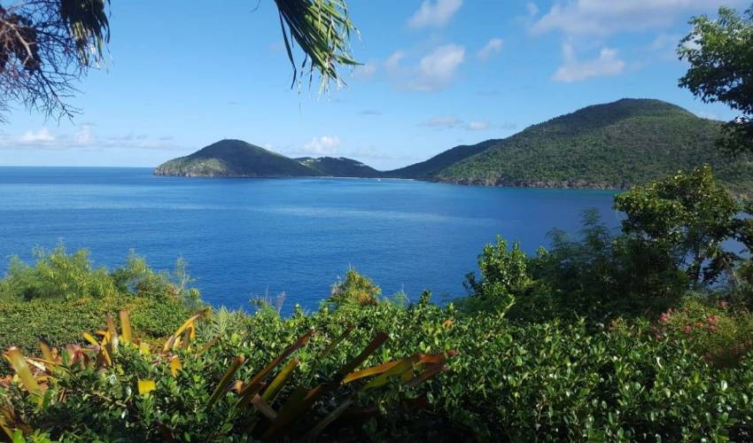 Villa 1229 in Caribbean Main Image