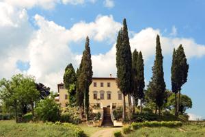 Arezzo and nearby Villa 9124