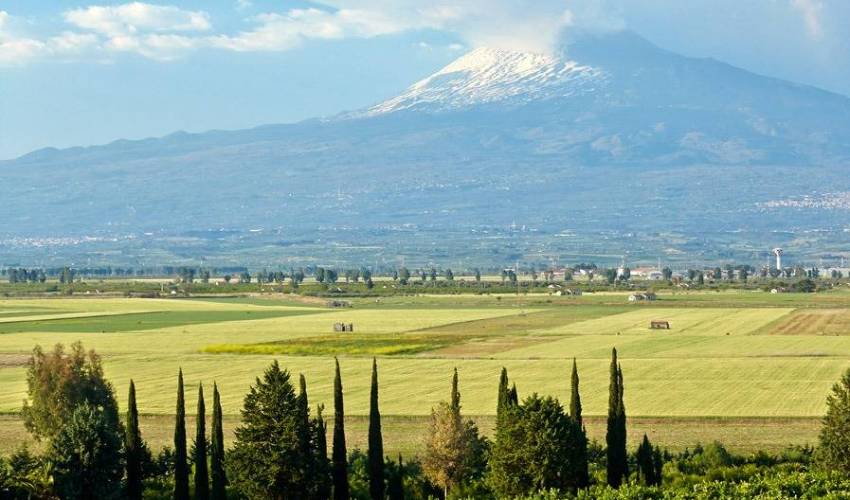Villa 9248 in Italy Main Image