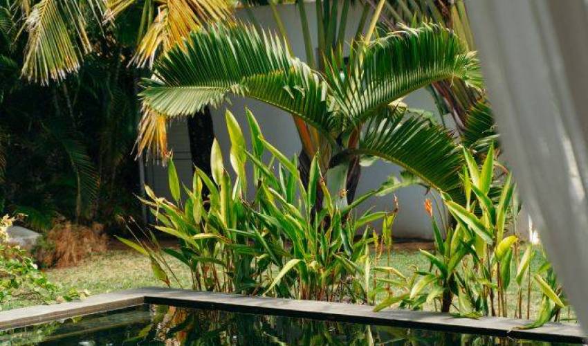Villa 13855 in Mauritius Main Image