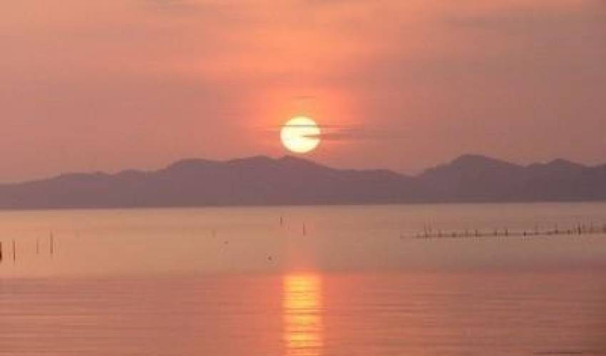 Villa 4456 in Thailand Main Image